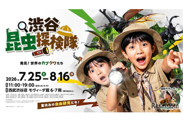 【夏休み2026】世界のカブトムシ・クワガタ大集合、渋谷で昆虫探検…自由研究にも 画像
