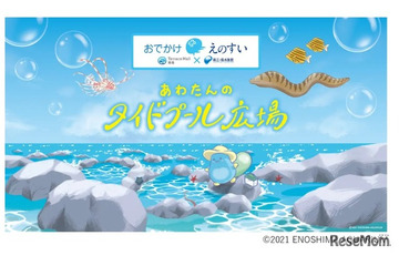 【夏休み2026】新江ノ島水族館がテラスモール湘南へ、海の生き物と学ぶ16日間 画像