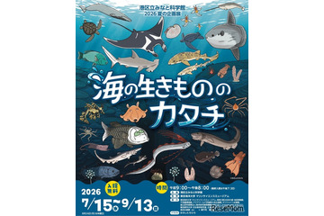 【夏休み2026】みなと科学館「海の生きもののカタチ」企画展9/13まで…実寸大エイも 画像