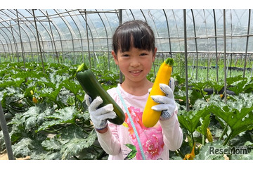 【夏休み2026】八ヶ岳農業大学校で収穫体験「やさい博士ツアー」自由研究にも 画像