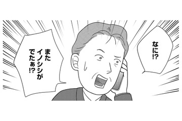 「襲う」と「食べる」は別問題！草食動物が人間を死に至らしめる「予期せぬ引き金」【いまどきの死体　法医学者が見た幸せな死に方 #５】 画像