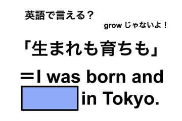 英語で「生まれも育ちも」は何て言う？ 画像