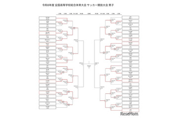 高校サッカー男子インターハイ、桐光や桐蔭が8強入り…ベスト8出揃う 画像