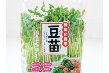 その豆苗、本当に新鮮？ プロが教える「おいしい豆苗」の見分け方と長持ちさせる保存術 画像