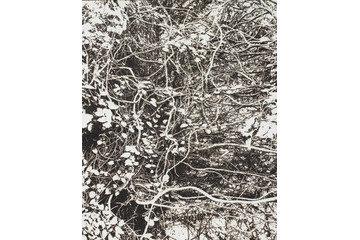市川孝典、個展「FLEETING DAYS」10月7日より渋谷・NONLECTURE book/artsで開催 画像