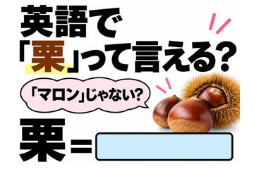 英語で「栗」は「マロン」じゃない？正解は意外なコレでした 画像