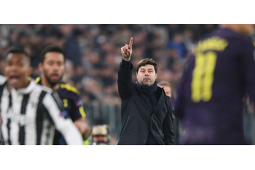 ポチェッティーノ、「トッテナムはリスペクトされ始めた」 画像