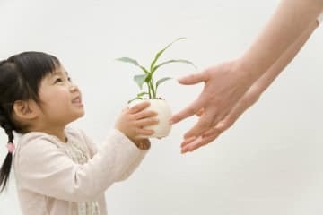 幸せを得るためにはまず年800万円まで稼ぎなさい 画像