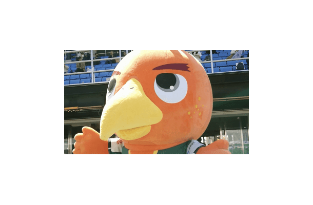 関西リーグ第2節にQolyが直撃！2つの「劇的AT同点劇」をレポ