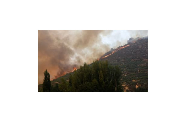 カシージャスが災害ボランティア…大規模山火事の現場で