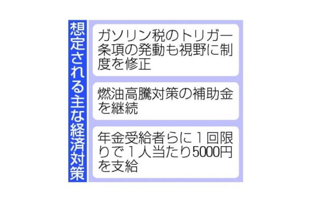 想定される主な経済対策