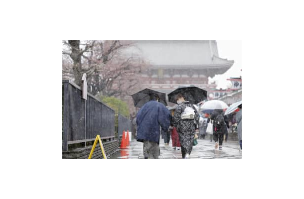 みぞれが降る東京・浅草の仲見世通りを歩く人たち。左は咲き始めた桜＝22日午後0時47分