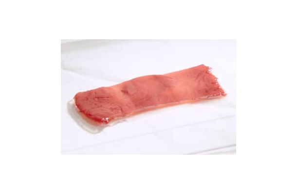 日清食品ホールディングスと東京大学の研究グループが共同で作成した「食べられる培養肉」（同社提供）