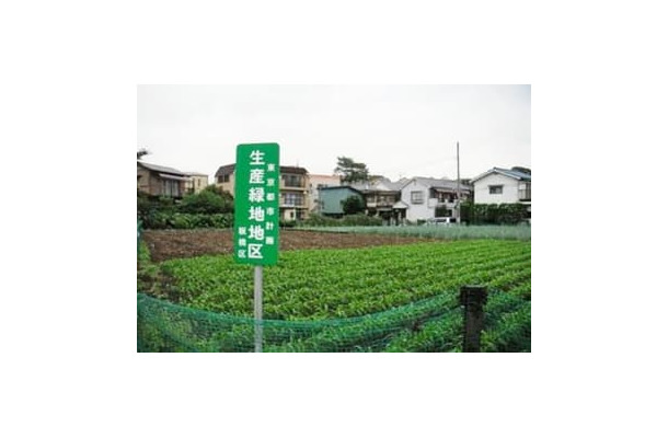 東京都板橋区の「生産緑地」（国交省提供）