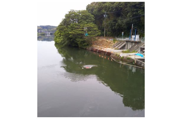 漏水が起きている「明治用水頭首工」上流の様子＝17日、愛知県豊田市（同県提供）