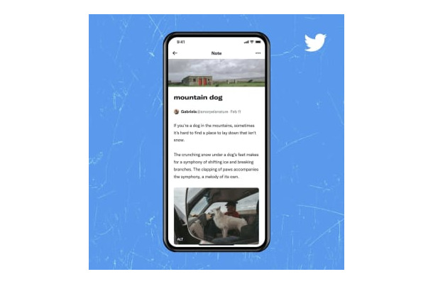 長文を投稿できる機能「ノート」の画面（ツイッター提供・共同）
