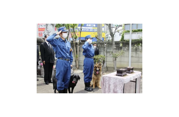 警察犬の慰霊祭で慰霊碑に向かい敬礼する警視庁鑑識課の担当者＝11日午前、東京都板橋区