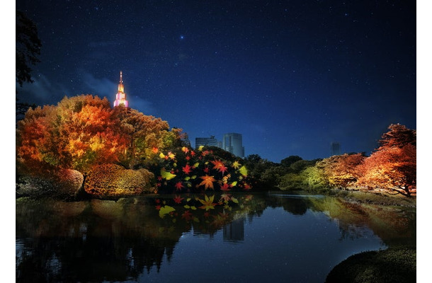 中の池：紅葉プロジェクションマッピング 「秋色の光」／画像提供：ネイキッド
