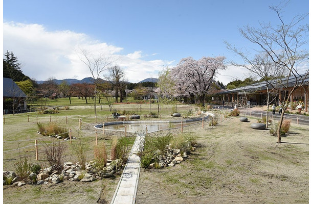 那須千本松牧場／提供画像
