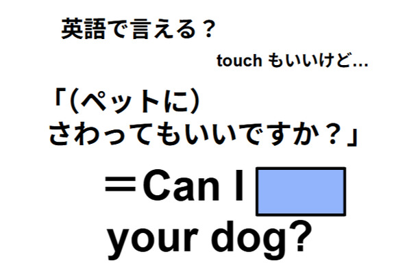 英語でどう言う？「(ペットに)さわってもいいですか？」