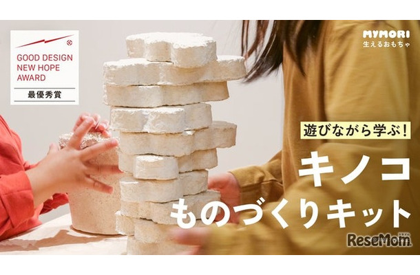 【自由研究】キノコの菌糸体を育て、ブロック作り「生えるおもちゃ」ってなに？