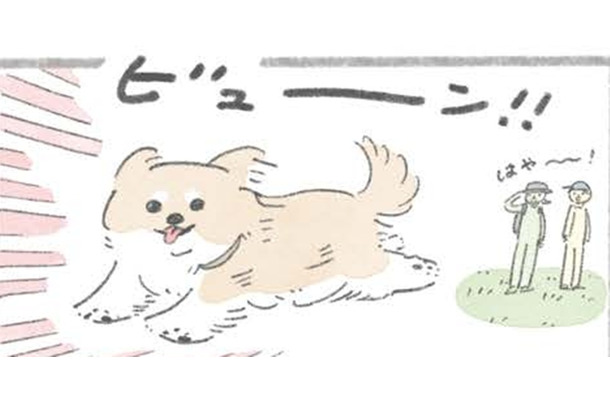 ドッグラン大好きむっく…他の犬にあいさつを…その後に待つことは?!【うちのむっくはいつも楽しそう #４】