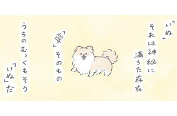 犬の神秘…むっくは胸毛もふわふわ過ぎて「愛」そのものの存在か?!【うちのむっくはいつも楽しそう #９ 】