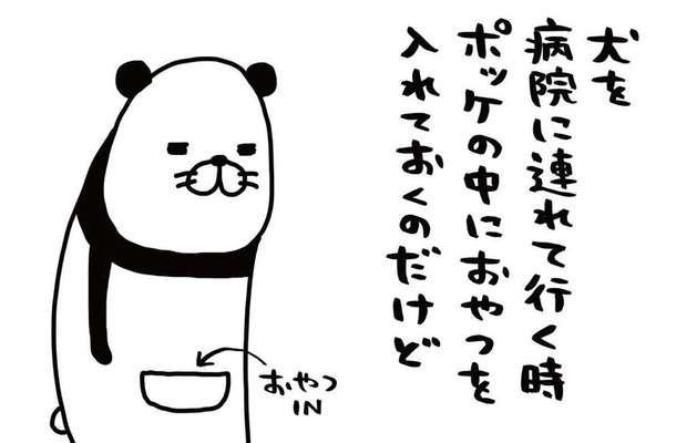 犬を病院に連れて行くときの必需品、それはオヤツ。しつこく嗅いでくる愛犬。バレてる？【パンダと犬 ＃17】