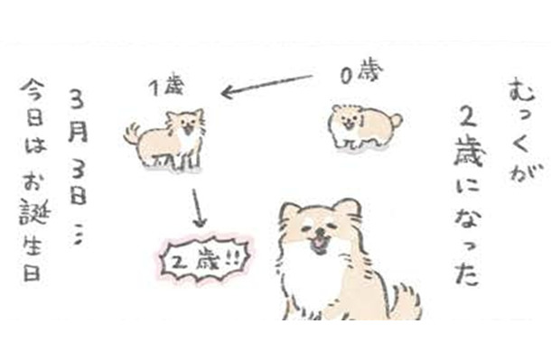 愛犬むっくの誕生日…楽しいことがいっぱいあるらしいと理解した様子だが？【うちのむっくはいつも楽しそう #10 】