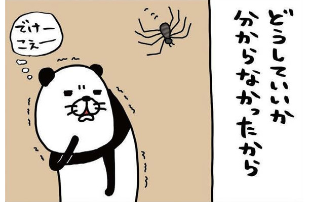 家に巨大なクモが出現!! 心を落ち着かせるため、震える手で愛犬・梅吉を…【パンダと犬 ＃19】