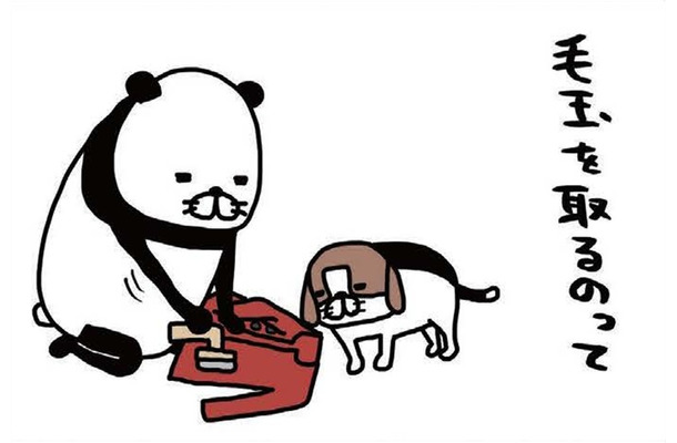 毛取り機でジョリリ～と毛玉除去♪ 愛犬も見守って楽しそう⁉【パンダと犬 ＃25】
