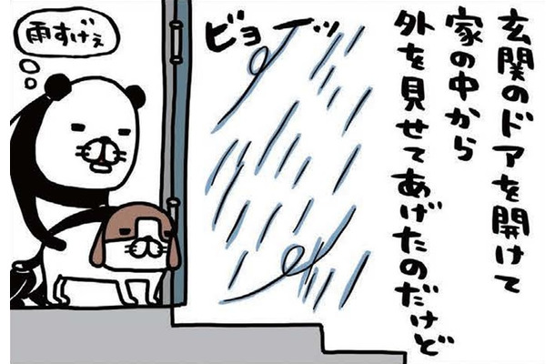 雨風強い日に愛犬。濡らさないように、そっと包み込むのはナゼ？【パンダと犬 ＃26】