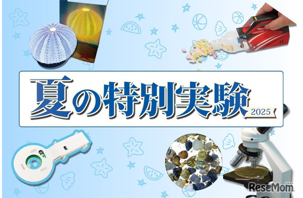 夏の特別実験