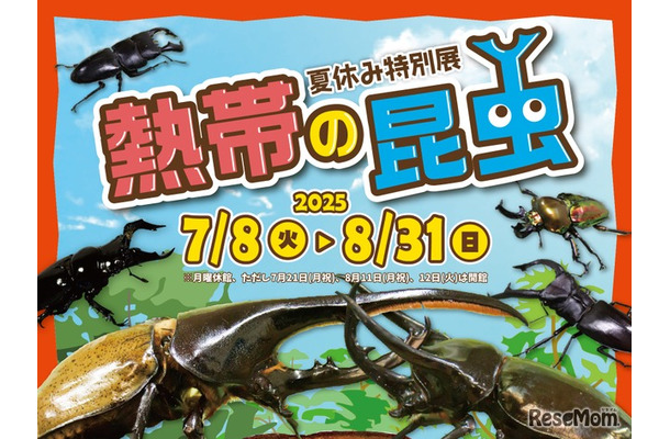 夏休み特別展「熱帯の昆虫2025」