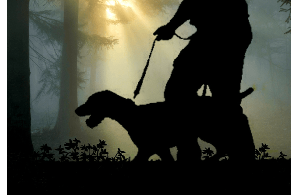 愛犬と夜道を散歩中、建物裏に人影が！？恐る恐る近づくと…→愛犬の思わぬ反応に「笑った」
