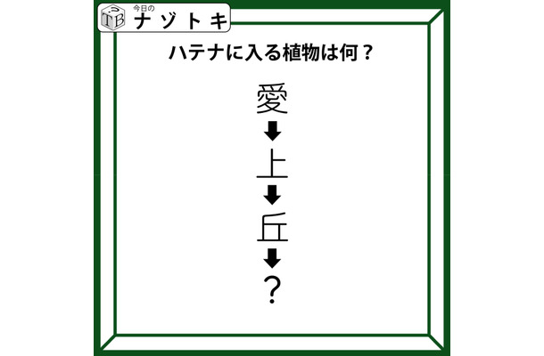 クイズです！「愛→上→丘→〇」〇に入る植物、なーんだ？順番に読んでみましょう【難易度LV2.・甘口】