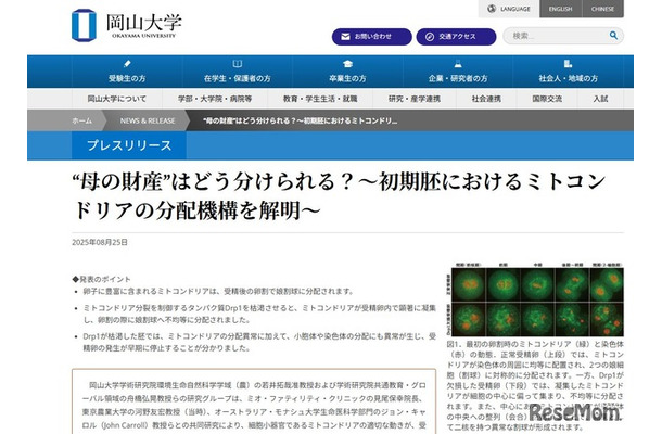 岡山大学「初期胚におけるミトコンドリアの分配機構を解明」