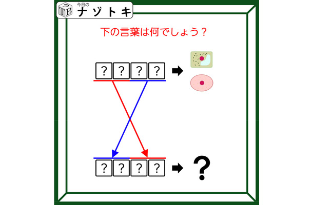クイズです！「入れ替えたら別の言葉？」イラストは理科の授業で見たことがあるものです【難易度LV２.・甘口】