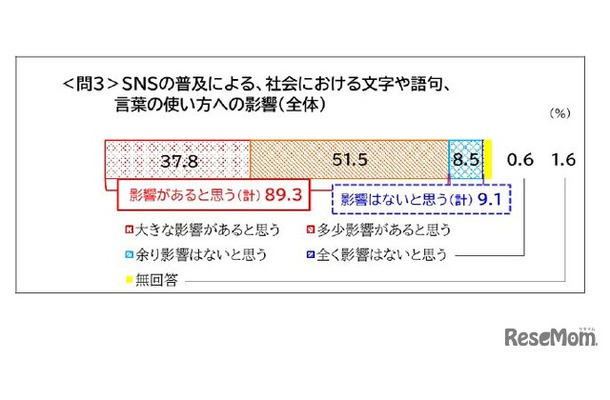 SNSの普及による、社会における文字や語句、言葉の使い方への影響