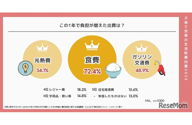 この1年で負担が増えた出費