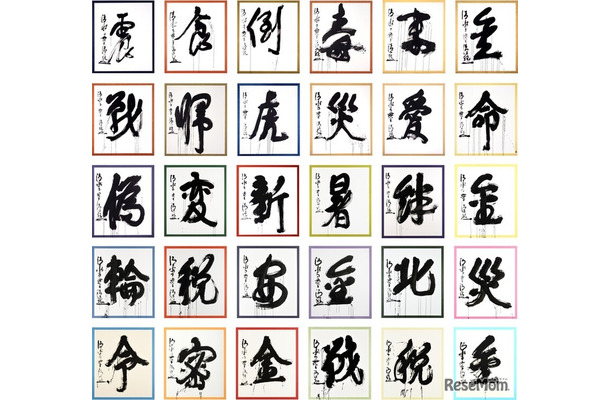 1995年から2024年までの過去30回分の「今年の漢字」の大書（揮毫：清水寺 森清範貫主）