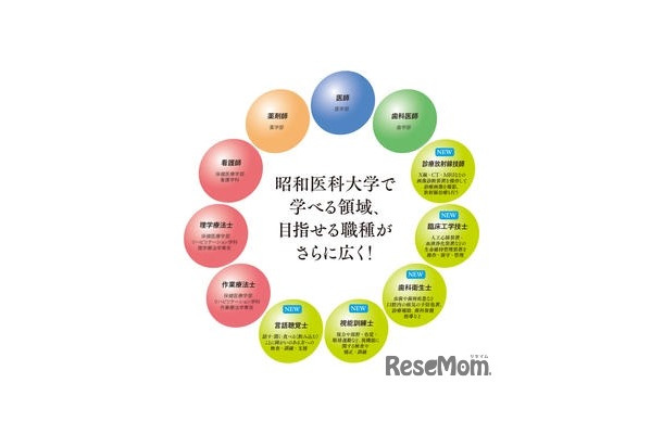 昭和医科大学、保健医療学部に新学科・新専攻を開設