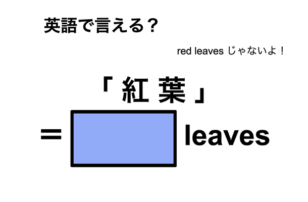 英語で「 紅 葉 」は何て言う？