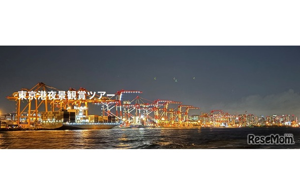 東京港夜景観賞ツアーでの夜景