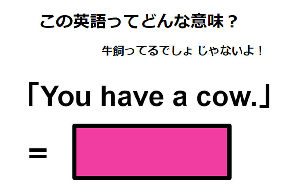この英語ってどんな意味？「You have a cow.」