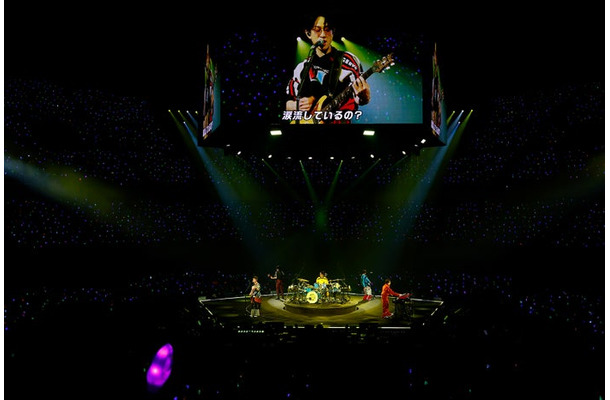 SUPER EIGHT「超八 in 日本武道館」より(提供写真)