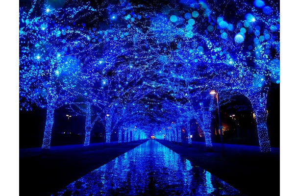 青の洞窟 SHIBUYA/提供画像