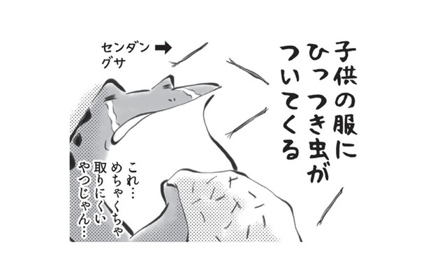 ひっつき虫を服につけて、どんぐりをポケットに入れる…秋がやってきたと感じます【カエル母さん #6】