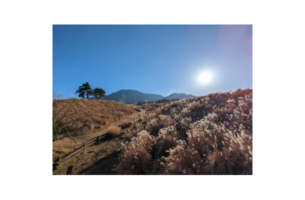 ウイルスや寒さの影響で体調を崩しがちな「冬至」の時季、「意外な3つの海鮮」を食べるべし?1つは赤くて2つは白くて