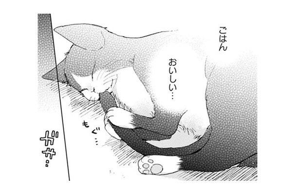 【猫視点】人間がなんだかブツブツ言ってる。うるさいなぁ… と思っていたら聞き覚えのある言葉が!!【同居人はひざ、時々、頭のうえ。 #20】